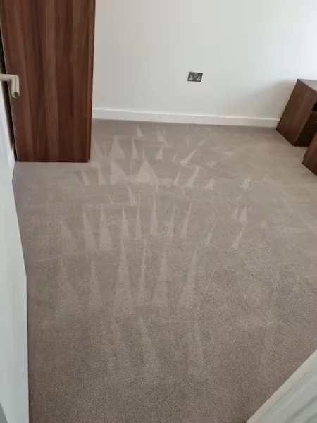 carpet and upholstery cleaning