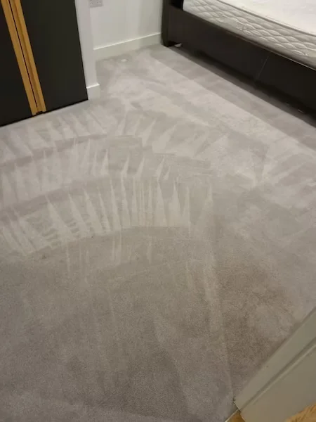 Carpet Cleaner services