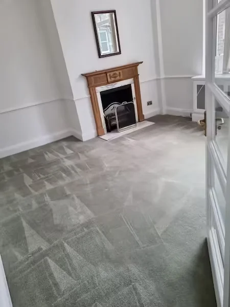 Carpet Cleaner
