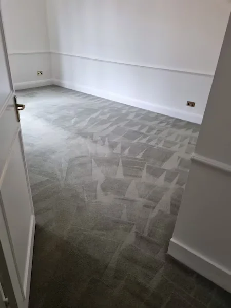 Carpet Cleaners