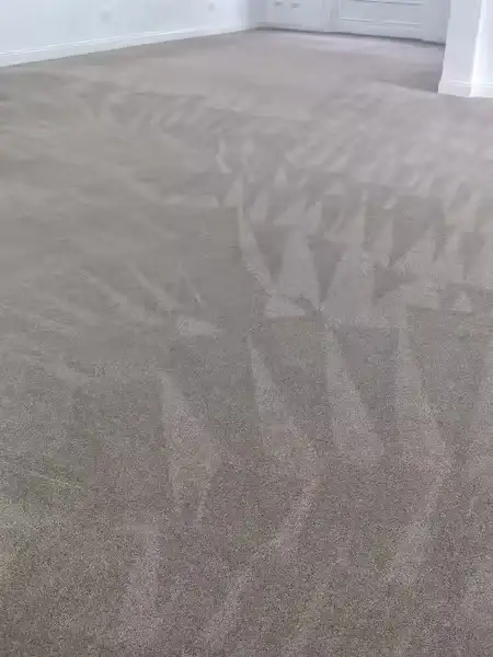 Carpet Cleaning Commercial