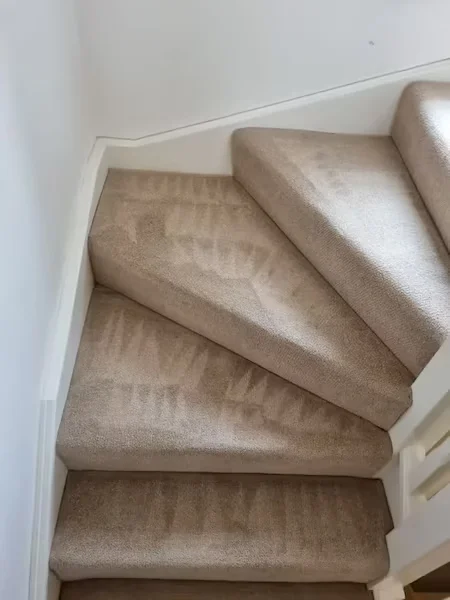 Carpet Cleaning Stairs
