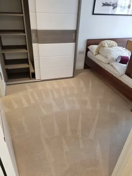 Carpet Shampooing