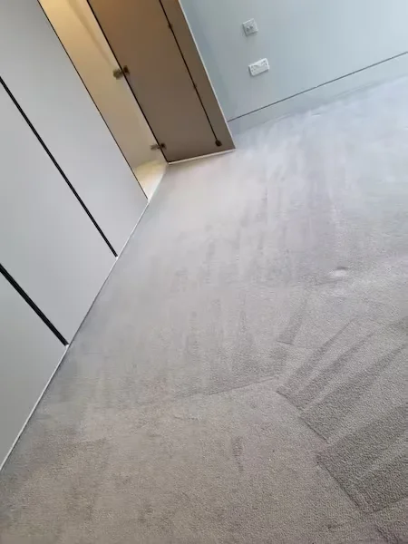 Carpet Steam Cleaner