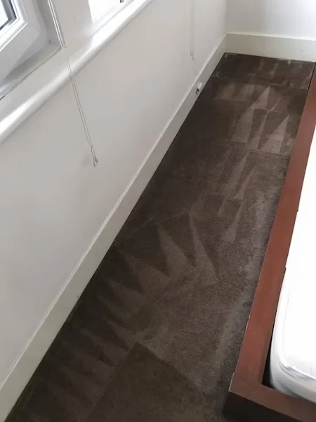 Clean Carpet