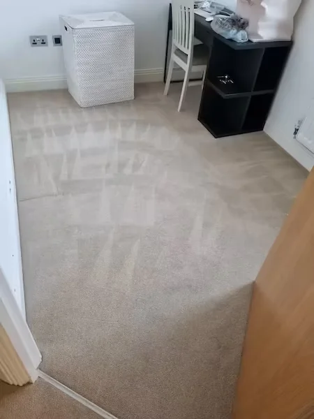 Cleaning Carpet