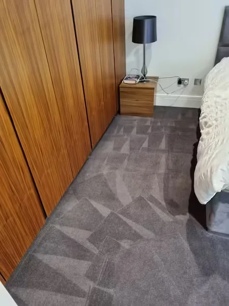 Domestic Carpet Cleaner