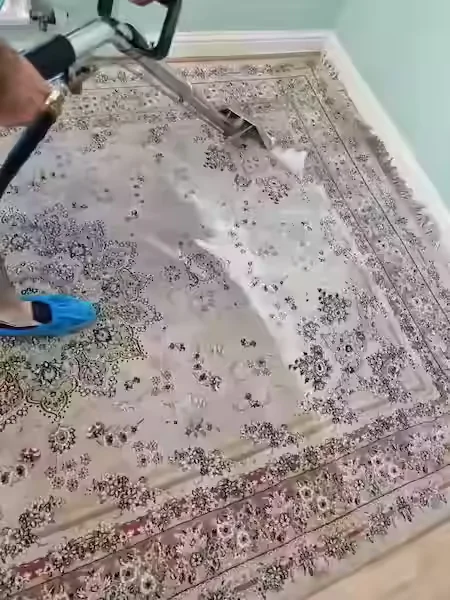 Domestic Rug Cleaning