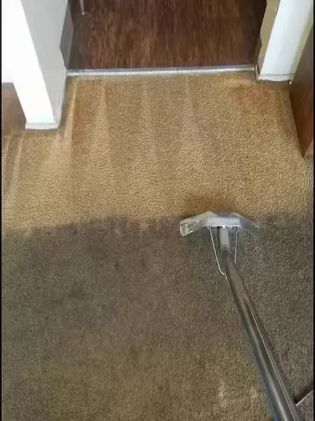 Filthy Carpet Cleaning
