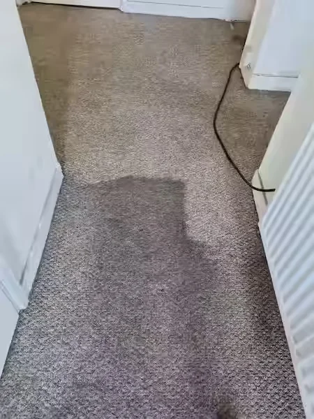 Hallway Carpet Cleaning