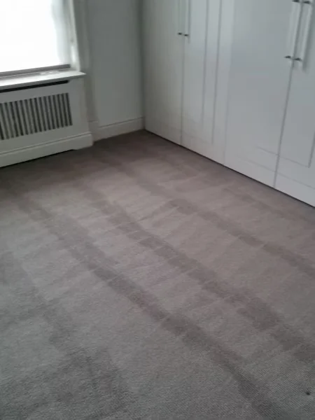 Local Carpet Cleaning