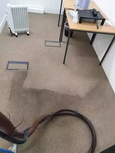 Office Carpet Cleaning