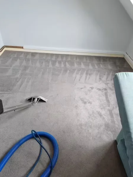 Professional Carpet Cleaning Services
