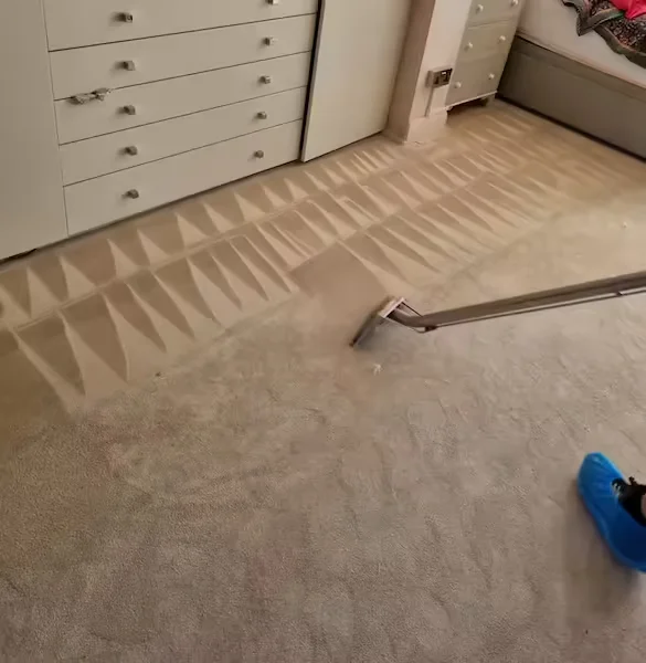 Professional Carpet Cleaning