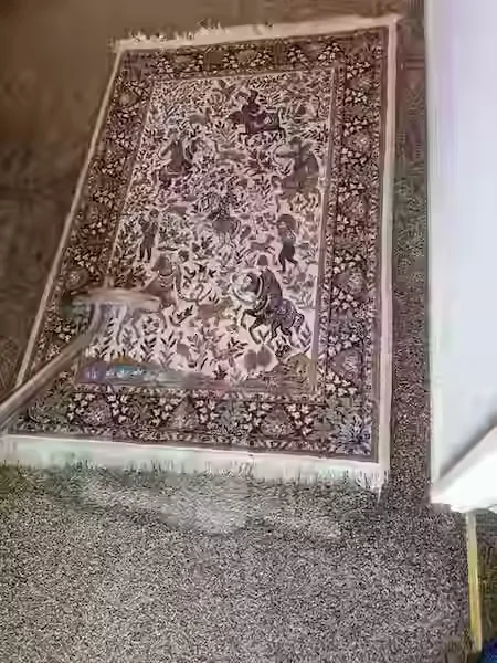 Professional Rug Cleaning