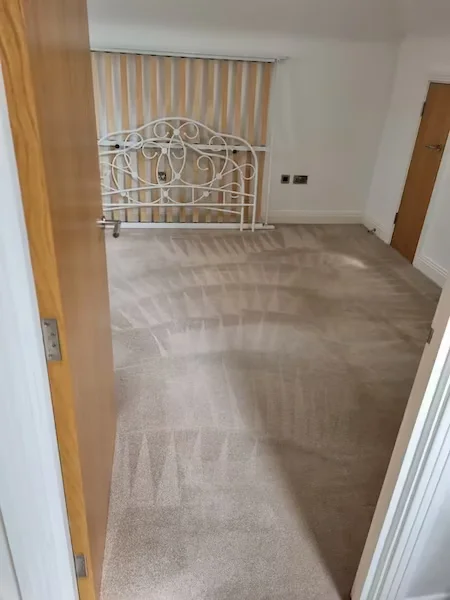 Steam Carpet Cleaning